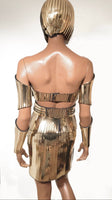 Divamp Couture Cleopatra Bustier, Egyptian goddess top, metallic corset