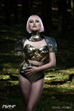 Gold cleopatra neck corset, gothic choker in chrome slave collar