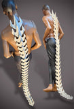 futuristic 5 feet chrome tail vertebra , column in silver chrome, stage costume, burning man, designer wear