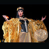 Golden armour corset , armor, sci fi costume, lady gaga , steampunk, futuristic clothing metal corset metallic goddess egyptian burningman